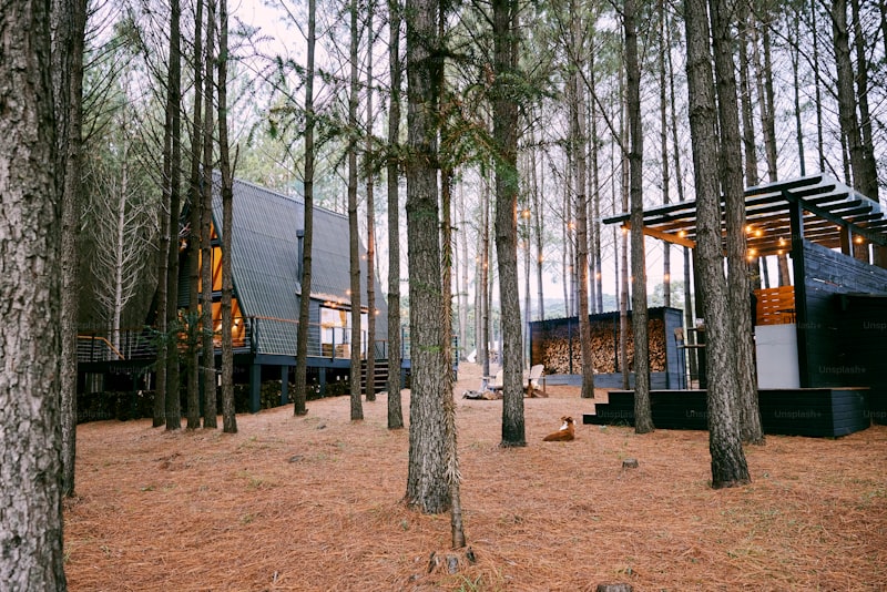 Can a CMMS improve the management of wildlife facility maintenance? Can a CMMS improve the management of wildlife facility maintenance?