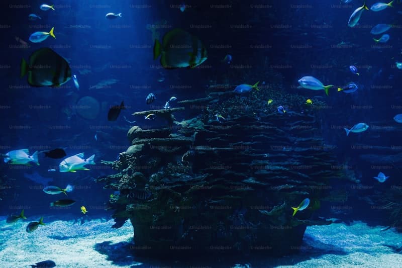 Can a CMMS improve the management of zoo and aquarium maintenance?