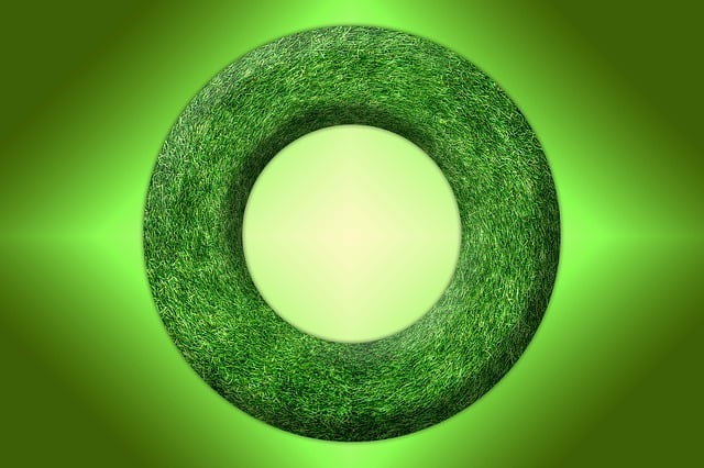 CMMS and Sustainability: How to Promote Green Initiatives at the Executive Level CMMS and Sustainability: How to Promote Green Initiatives at the Executive Level