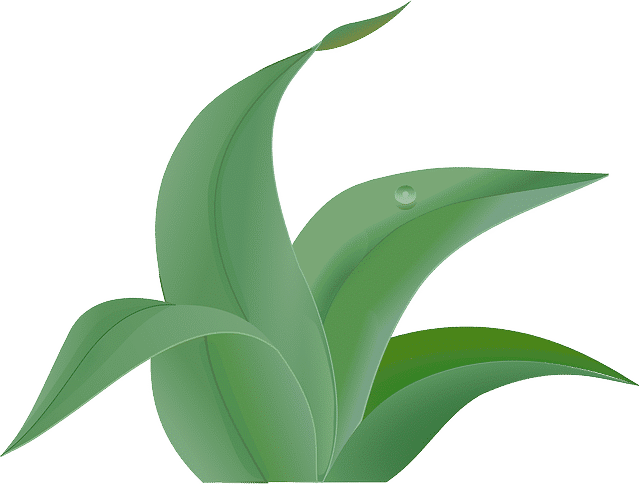 Exploring the Scalability of CMMS for Growing Businesses.