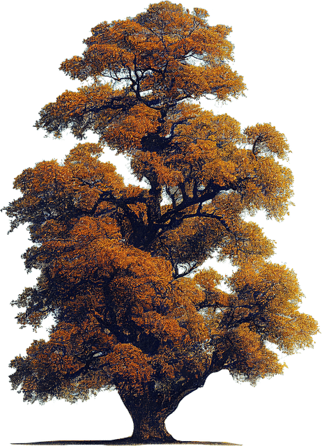 How can a CMMS enhance transparency in government maintenance operations?