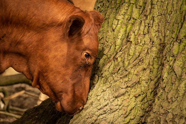 How can a CMMS support lean maintenance initiatives in retail?