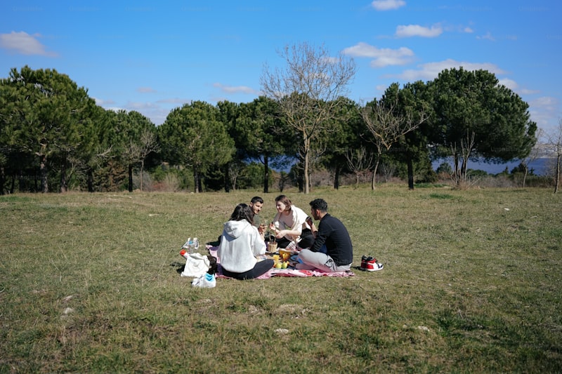 How does a CMMS assist in managing maintenance for public parks? How does a CMMS assist in managing maintenance for public parks?