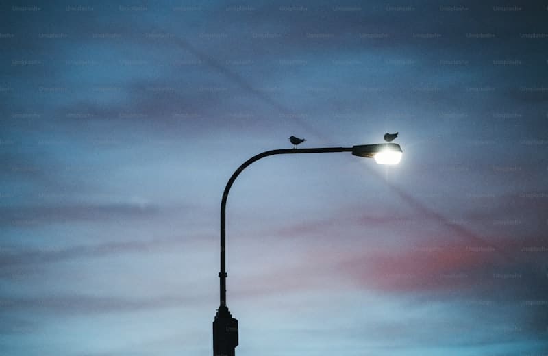 How does a CMMS assist in managing street lighting maintenance?