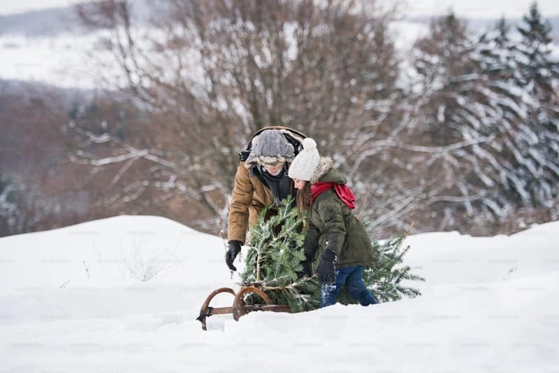How does a CMMS help in managing maintenance schedules for seasonal equipment? How does a CMMS help in managing maintenance schedules for seasonal equipment?