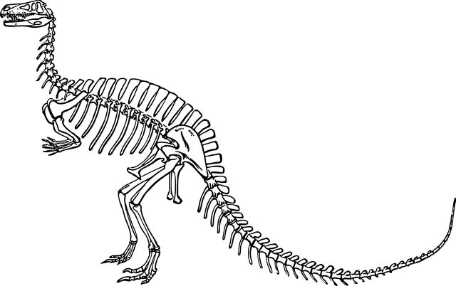How does a CMMS help in tracking maintenance history in automotive?