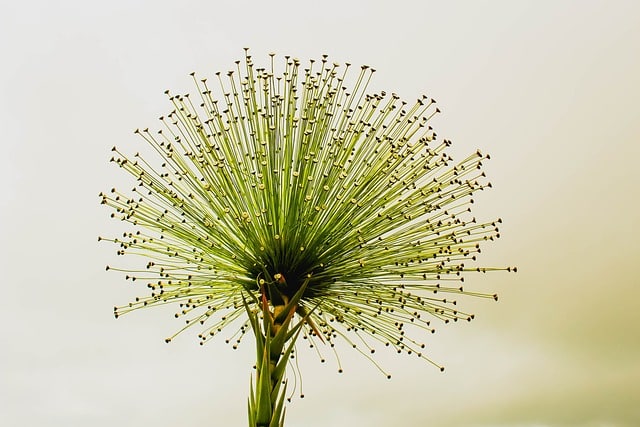 How does a CMMS support green initiatives in chemical plant maintenance?