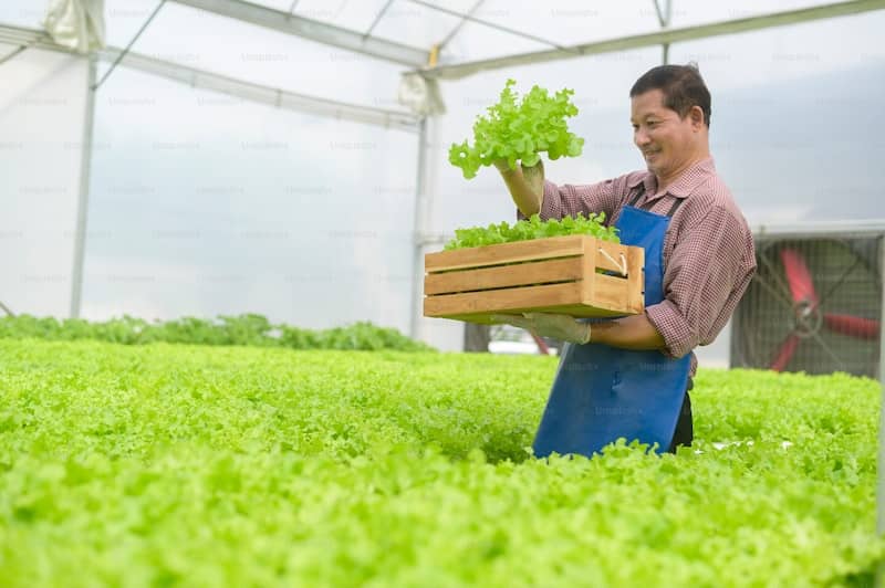 What are the benefits of using a CMMS in the agriculture industry? What are the benefits of using a CMMS in the agriculture industry?