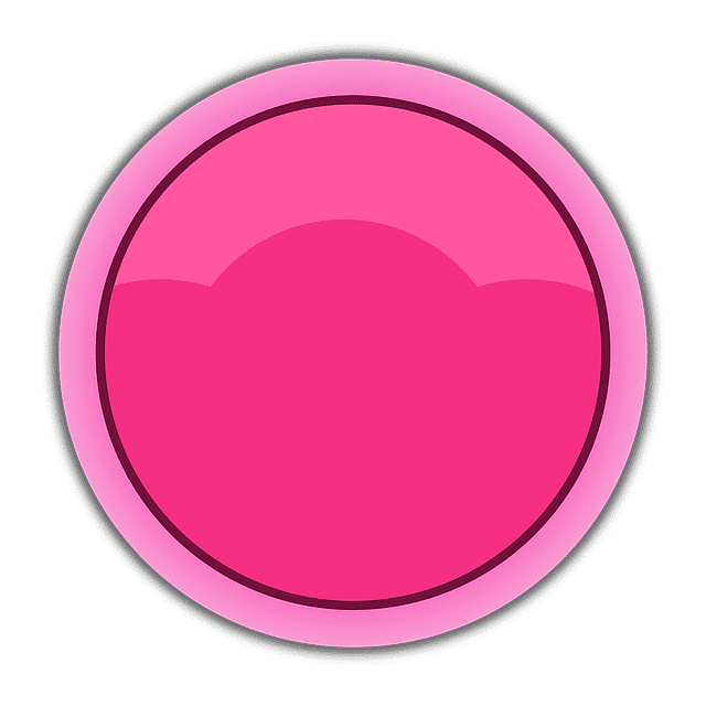 What is the importance of a user-friendly interface in a CMMS for government use?